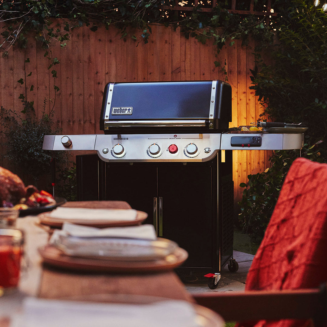 Weber BBQ