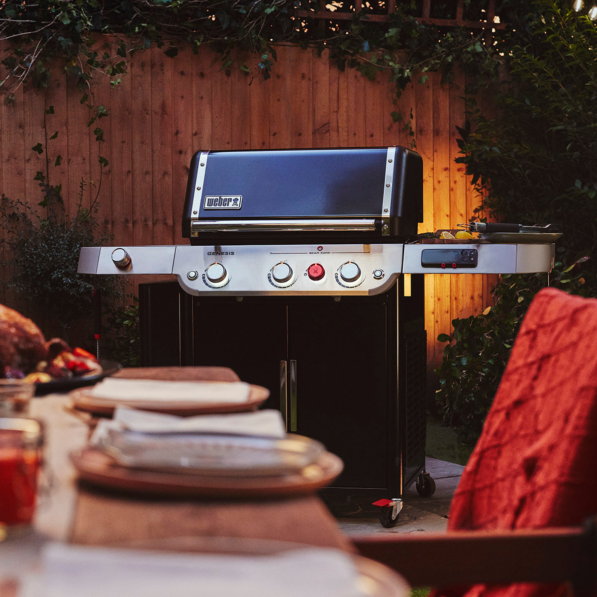 Weber Gas BBQ's